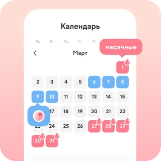 точный календарь цикла