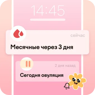 ежедневные уведомления