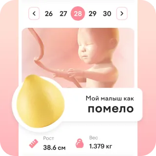 наблюдайте, как растёт малыш